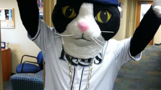 The Rays Now Lead The AL East In Mascots